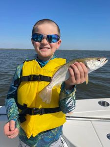 Let’s go fishing, Louisiana!