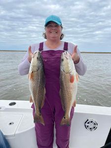 Reds in Lake Catherine Island Marina