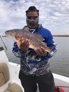 Angler with one fish in New Orleans