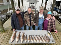 5 redfish caught in LA