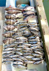 Fishing in New Orleans