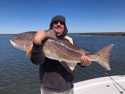 Two large fish caught in LA