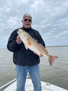 Redfish caught in LA