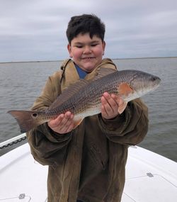 Redfish caught in LA