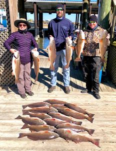 A photograph of 11 redfish caught by 3 people during a fishing trip in New Orleans.