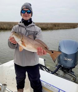 Redfish caught in New Orleans, Louisiana