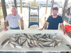 Impressive New Orleans speckled trout haul at the marina!