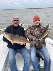 Two redfish, 24 inches long, caught while fishing in LA