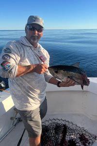 Blackfin tuna catch displayed on fishing boat deck in New Port Richey FL waters