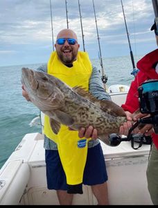 Gag grouper catch on fishing boat in New Port Richey Florida