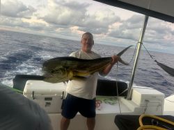 Angler holding large mahi mahi fish on fishing boat in New Port Richey FL waters