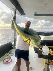 Mahi mahi catch on fishing boat in New Port Richey FL