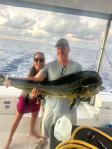 Mahi mahi catch displayed on fishing boat in New Port Richey FL waters