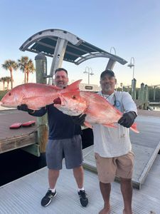 Two large red snapper fish displayed on marina dock in New Port Richey FL