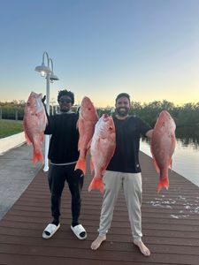 Four large red snapper caught during fishing trip in New Port Richey FL displayed on dock