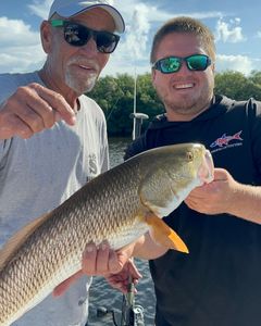 Successful redfish catch in New Port Richey FL during guided fishing trip