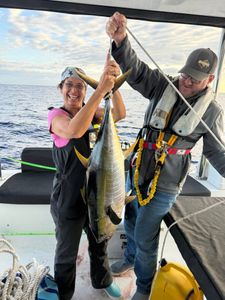 Yellowfin tuna caught while fishing in New Port Richey FL
