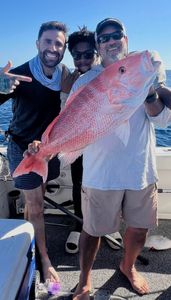 Red snapper fishing catch on boat in New Port Richey Florida waters