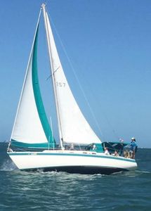 White sailboat with teal trim sailing on blue water in New Port Richey FL