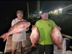 Three red snapper caught during night fishing trip in New Port Richey FL