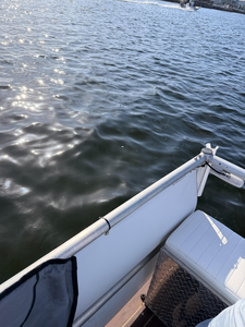 Perfect trolling conditions in New Port Richey waters today!