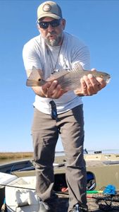 Another day, another trophy red!