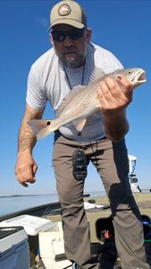 Georgia reds never disappoint!