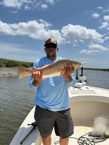Fish-Species