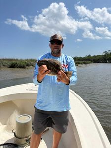 Fish-Species