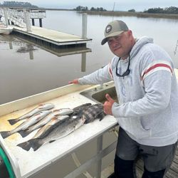 Fish-Species