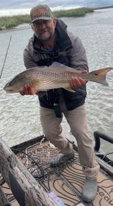 Fish-Species