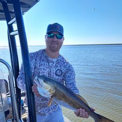 A lone angler catching a big fish in Ludowici