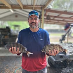 Two black drum fish caught in GA