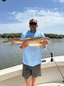 Fish-Species