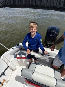 Dusky Smooth-Hound fish caught in Ludowici