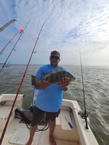Fish-Species
