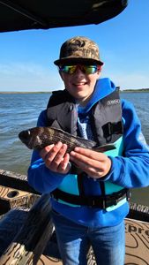 A fisherman holding a 12-inch fish in GA