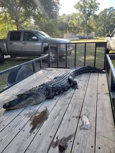 Fishing adventure in GA