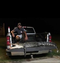 A person fishing in Ludowici
