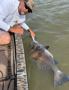 A single fishing experience in GA