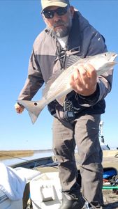 Fishing in Ludowici with a 16-inch catch