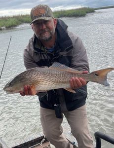 Redfish, 22 inches, caught in GA