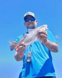 Redfish caught while fishing in Ludowici Georgia