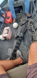 Great fishing trip in Ludowici