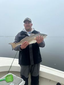 Fish-Species