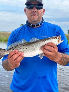 Fish-Species