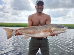 Redfish caught while fishing in Ludowici