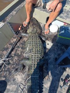 Scenic view of Ludowici, Georgia during a fishing trip