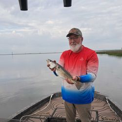 Spotted weakfish caught while fishing in GA