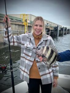 Sheepshead catch in Biloxi Fishing Charters